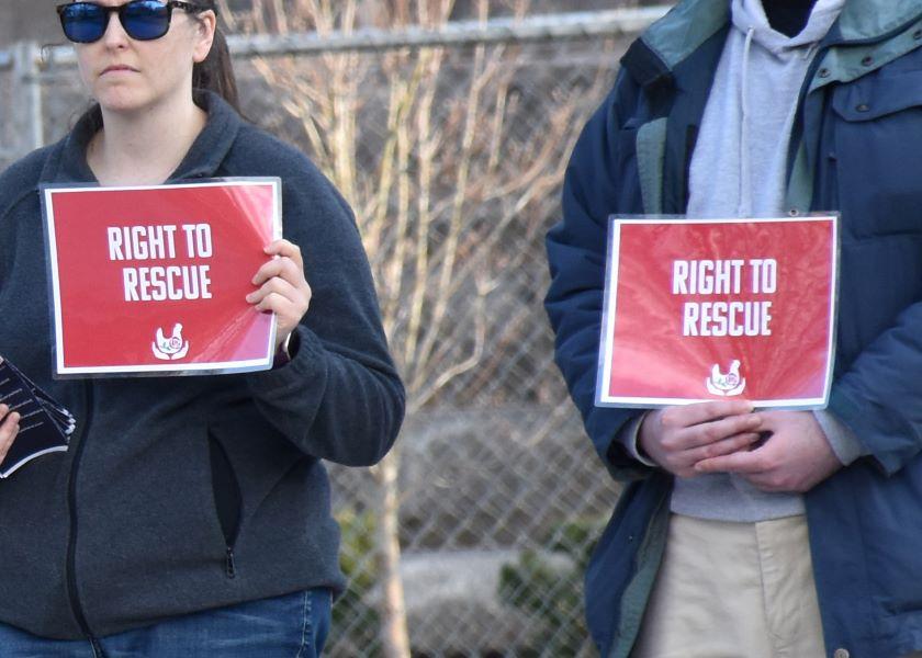 Activists Continue to ‘Storm the Courts’ Pork Business